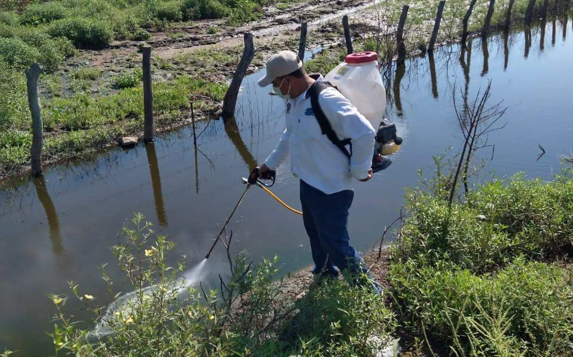 dengue en el sur